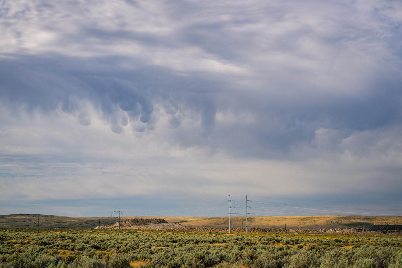 Desert brush under a wide stormy sky.